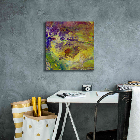 Image of 'Earth as Art: Sabotage,' Canvas Wall Art,18 x 18