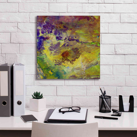 Image of 'Earth as Art: Sabotage,' Canvas Wall Art,18 x 18