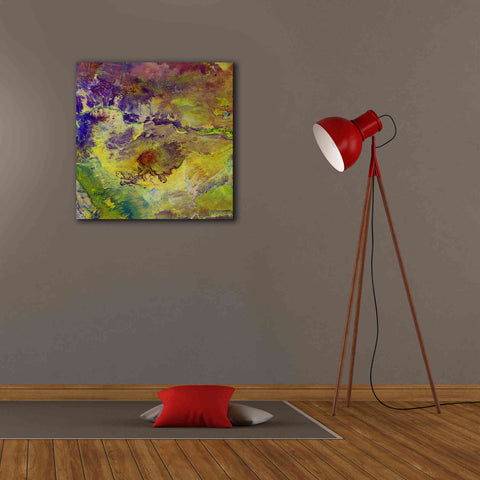 Image of 'Earth as Art: Sabotage,' Canvas Wall Art,26 x 26