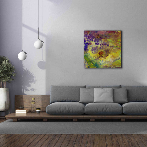 Image of 'Earth as Art: Sabotage,' Canvas Wall Art,37 x 37