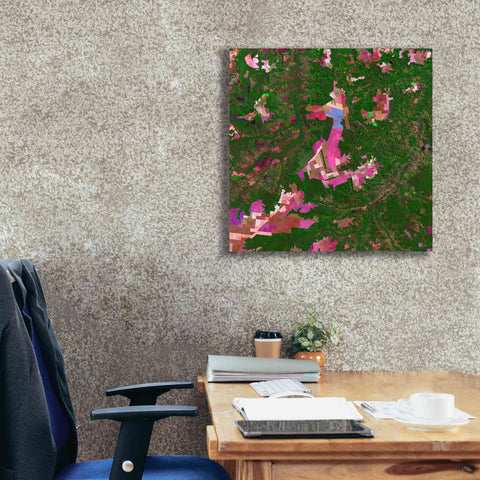 Image of 'Earth as Art: Southwestern Abstract,' Canvas Wall Art,26 x 26