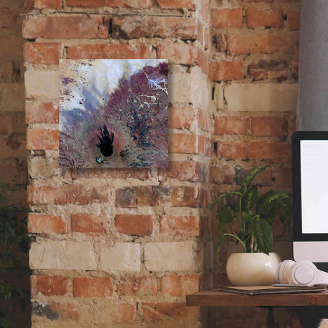 Image of 'Earth as Art: The Watcher,' Canvas Wall Art,12 x 12