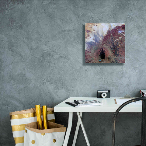 Image of 'Earth as Art: The Watcher,' Canvas Wall Art,12 x 12