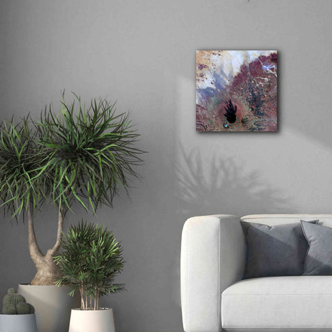 Image of 'Earth as Art: The Watcher,' Canvas Wall Art,18 x 18