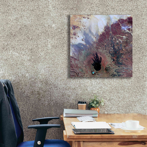 Image of 'Earth as Art: The Watcher,' Canvas Wall Art,26 x 26