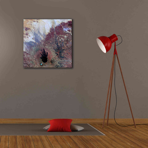 Image of 'Earth as Art: The Watcher,' Canvas Wall Art,26 x 26