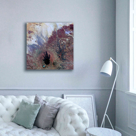 Image of 'Earth as Art: The Watcher,' Canvas Wall Art,37 x 37