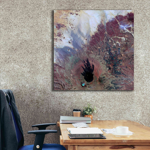 Image of 'Earth as Art: The Watcher,' Canvas Wall Art,37 x 37