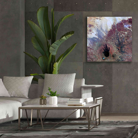 Image of 'Earth as Art: The Watcher,' Canvas Wall Art,37 x 37