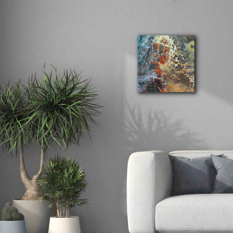 Image of 'Earth as Art: Unfriendly Landscape,' Canvas Wall Art,18 x 18