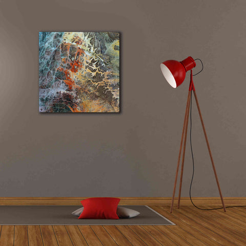 Image of 'Earth as Art: Unfriendly Landscape,' Canvas Wall Art,26 x 26