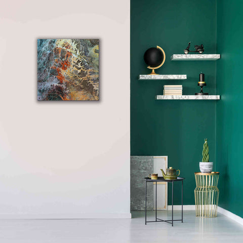 Image of 'Earth as Art: Unfriendly Landscape,' Canvas Wall Art,26 x 26