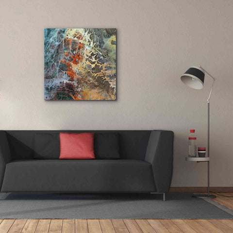 Image of 'Earth as Art: Unfriendly Landscape,' Canvas Wall Art,37 x 37