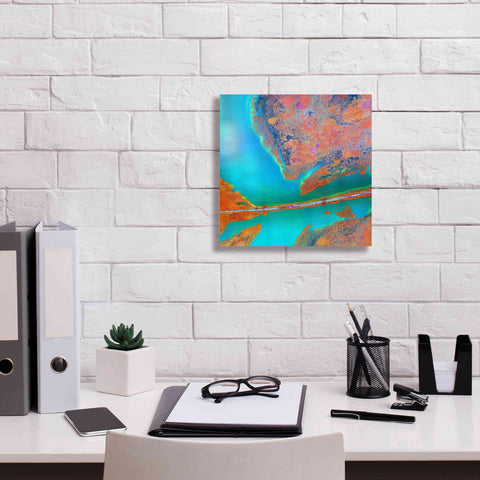 Image of 'Earth as Art: A Study in Algae,' Canvas Wall Art,12 x 12