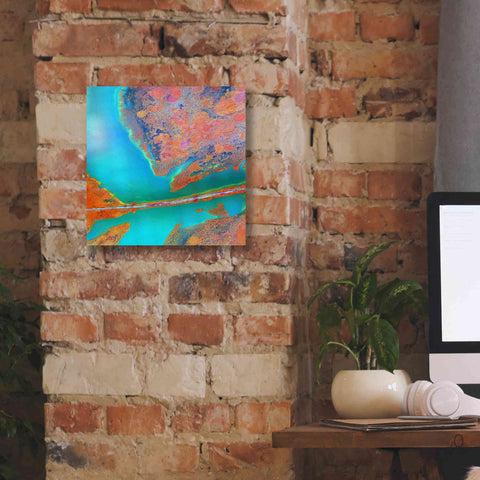 Image of 'Earth as Art: A Study in Algae,' Canvas Wall Art,12 x 12