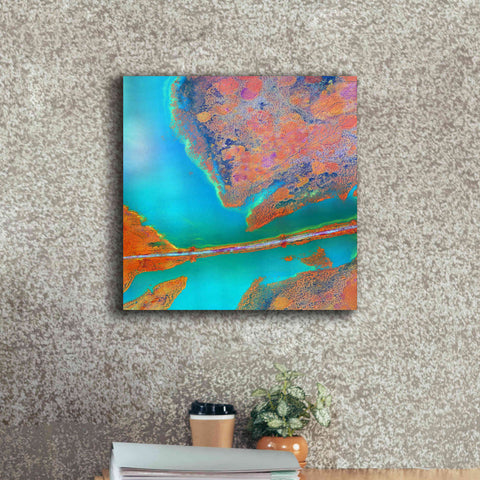 Image of 'Earth as Art: A Study in Algae,' Canvas Wall Art,18 x 18