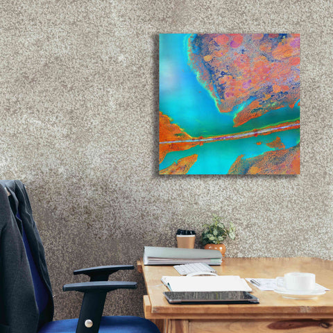 Image of 'Earth as Art: A Study in Algae,' Canvas Wall Art,26 x 26