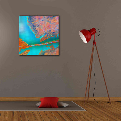 Image of 'Earth as Art: A Study in Algae,' Canvas Wall Art,26 x 26