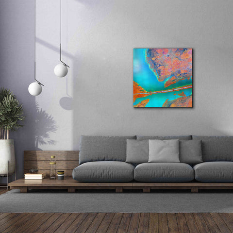 Image of 'Earth as Art: A Study in Algae,' Canvas Wall Art,37 x 37