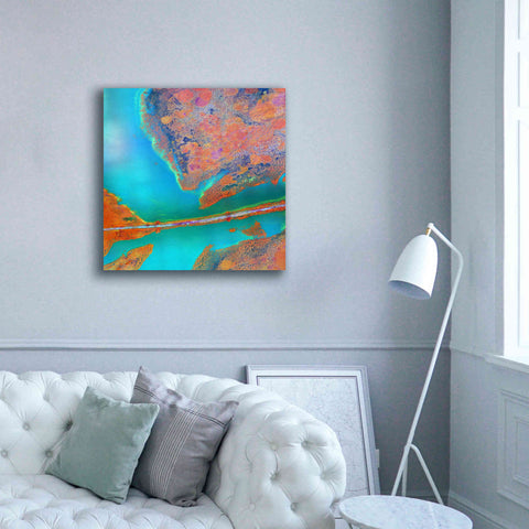 Image of 'Earth as Art: A Study in Algae,' Canvas Wall Art,37 x 37