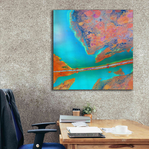 Image of 'Earth as Art: A Study in Algae,' Canvas Wall Art,37 x 37