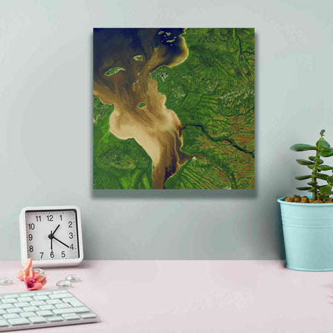 Image of 'Earth as Art: Facing the Tide,' Canvas Wall Art,12 x 12