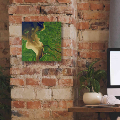 Image of 'Earth as Art: Facing the Tide,' Canvas Wall Art,12 x 12