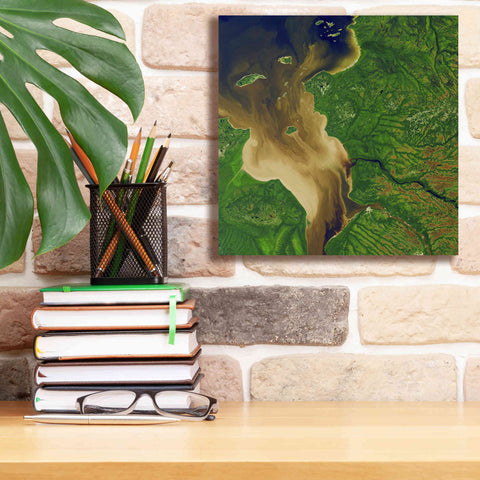 Image of 'Earth as Art: Facing the Tide,' Canvas Wall Art,12 x 12