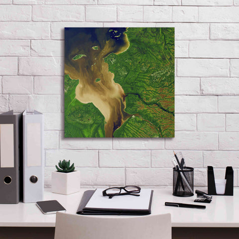 Image of 'Earth as Art: Facing the Tide,' Canvas Wall Art,18 x 18