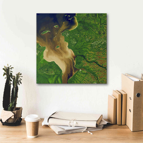 Image of 'Earth as Art: Facing the Tide,' Canvas Wall Art,18 x 18