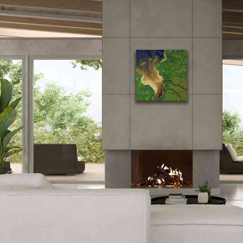 Image of 'Earth as Art: Facing the Tide,' Canvas Wall Art,26 x 26