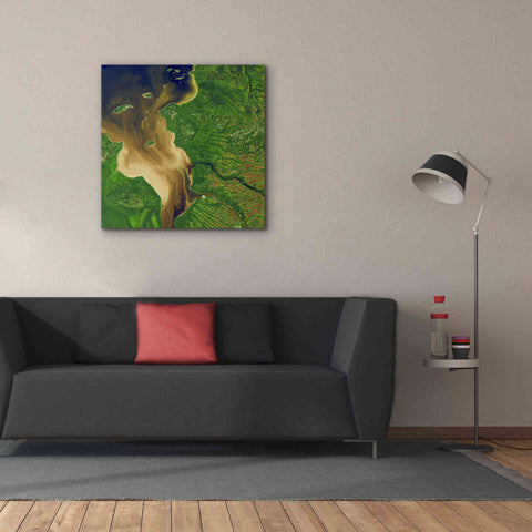 Image of 'Earth as Art: Facing the Tide,' Canvas Wall Art,37 x 37