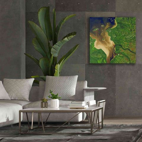 Image of 'Earth as Art: Facing the Tide,' Canvas Wall Art,37 x 37