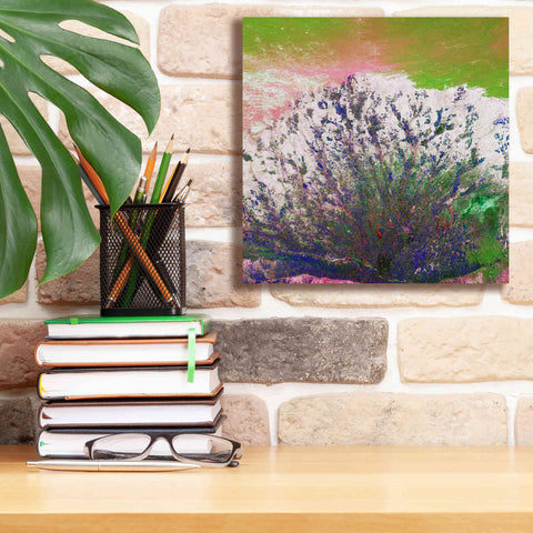 Image of 'Earth as Art: Fanned Out,' Canvas Wall Art,12 x 12