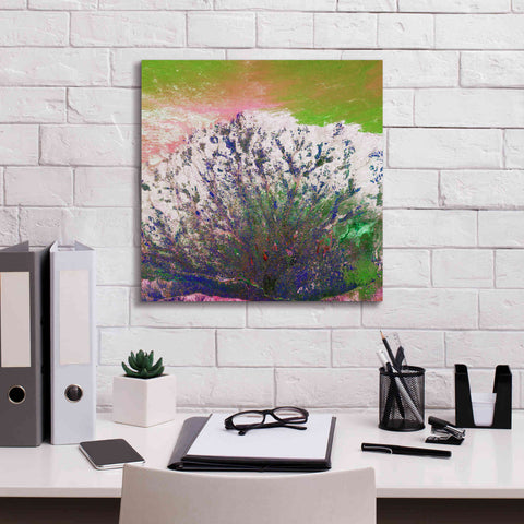 Image of 'Earth as Art: Fanned Out,' Canvas Wall Art,18 x 18