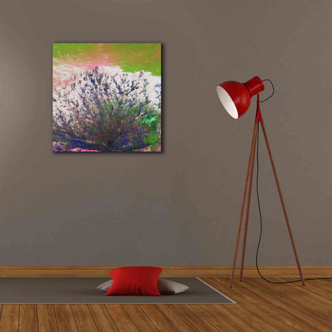 Image of 'Earth as Art: Fanned Out,' Canvas Wall Art,26 x 26