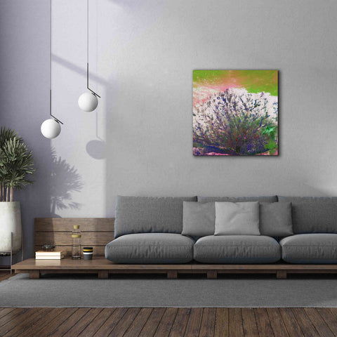 Image of 'Earth as Art: Fanned Out,' Canvas Wall Art,37 x 37