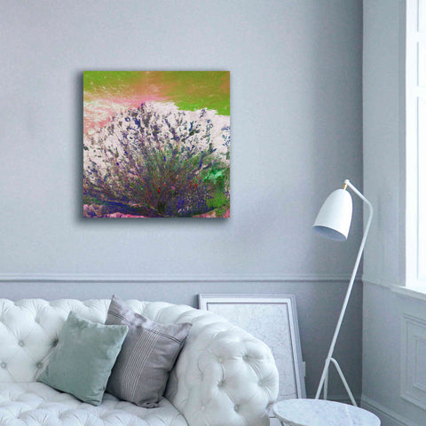 Image of 'Earth as Art: Fanned Out,' Canvas Wall Art,37 x 37