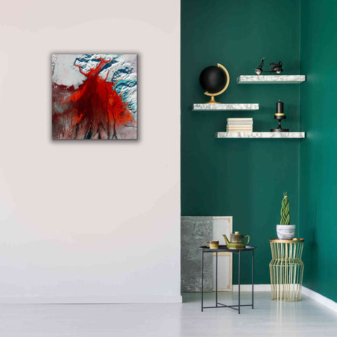 Image of 'Earth as Art: Outburst,' Canvas Wall Art,26 x 26