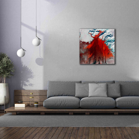 Image of 'Earth as Art: Outburst,' Canvas Wall Art,37 x 37