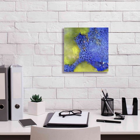 Image of 'Earth as Art: Palmyra,' Canvas Wall Art,12 x 12