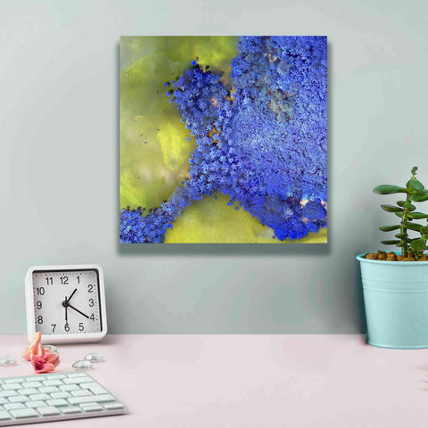 Image of 'Earth as Art: Palmyra,' Canvas Wall Art,12 x 12