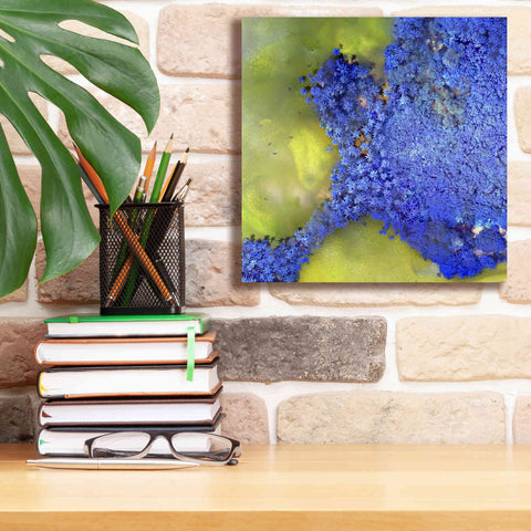 Image of 'Earth as Art: Palmyra,' Canvas Wall Art,12 x 12