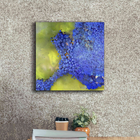 Image of 'Earth as Art: Palmyra,' Canvas Wall Art,18 x 18