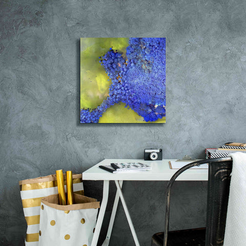 Image of 'Earth as Art: Palmyra,' Canvas Wall Art,18 x 18