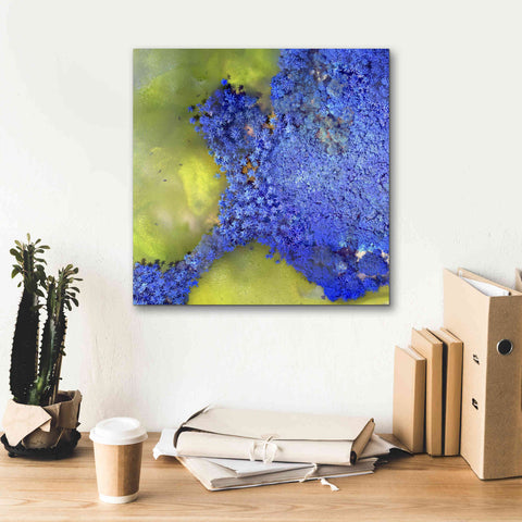 Image of 'Earth as Art: Palmyra,' Canvas Wall Art,18 x 18