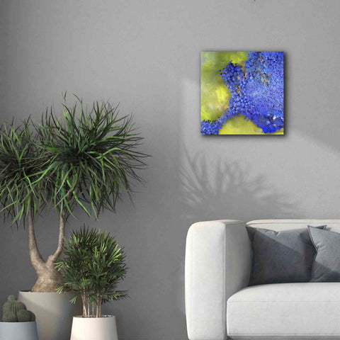 Image of 'Earth as Art: Palmyra,' Canvas Wall Art,18 x 18
