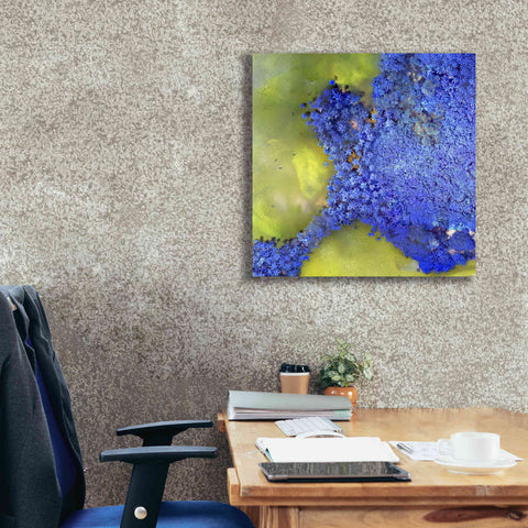 Image of 'Earth as Art: Palmyra,' Canvas Wall Art,26 x 26