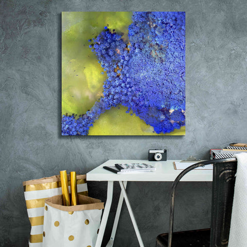 Image of 'Earth as Art: Palmyra,' Canvas Wall Art,26 x 26