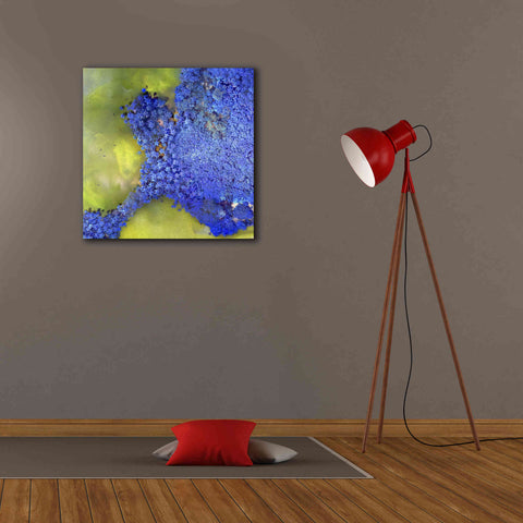 Image of 'Earth as Art: Palmyra,' Canvas Wall Art,26 x 26